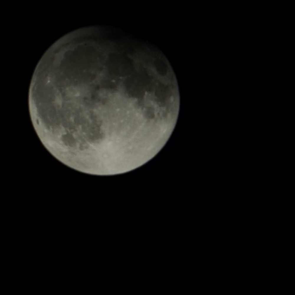 Meet your Posher, Angie